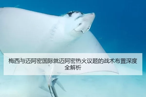 梅西与迈阿密国际就迈阿密热火议题的战术布置深度全解析