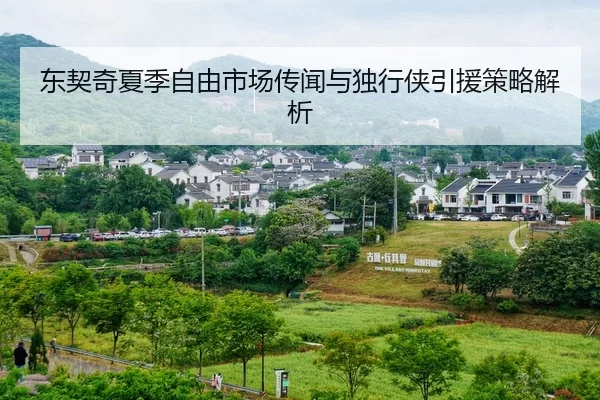 东契奇夏季自由市场传闻与独行侠引援策略解析