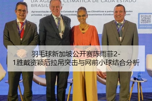 羽毛球新加坡公开赛陈雨菲2-1胜戴资颖后拉吊突击与网前小球结合分析