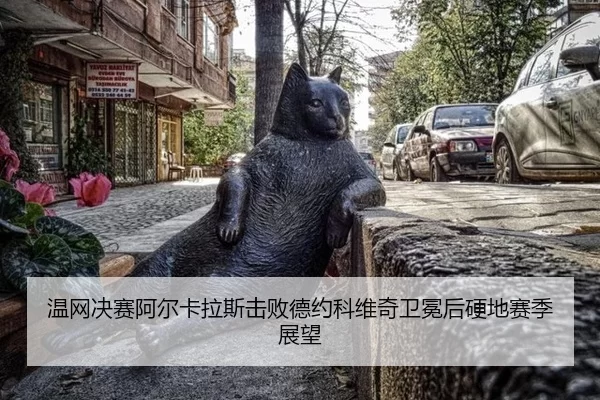wen-wang-jue-sai-a-er-ka-la-si-ji-bai-de-yue-ke-wei-qi-wei-mian-hou-ying-di-sai-ji-zhan-wang-3-886.jpg